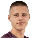 Čelik
