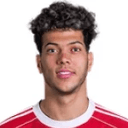 E. Ashour